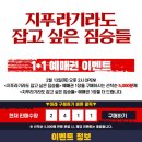 [지푸라기라도 잡고 싶은 짐승들] CGV 1+1 예매권 선착순 5000명 (SOLD OUT) 이미지