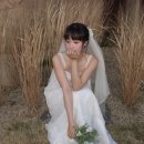 오아엔스 | W 36 : 빈티지 웨딩 맛집 👰🏻‍ 듀콜렉티브 대여 후기 & 추천 샵 2곳