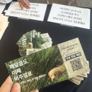 코엑스 불교박람회 + 봉은사 벚꽃 구경, 공양간 후기
