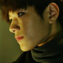 닥꽃 이미지