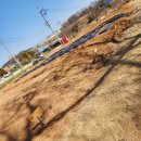 양감농장 이미지