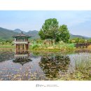 연꽃방죽체육공원 이미지