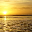 오리노코(orinoco) 이미지