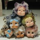 270-2580 | 태국 방콕 팝마트 [크라이베이비] 키링 랜박 후기/ 내돈내산 6개입 1박스 언박싱