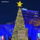 황금마차마을 | 일본 겨울 여행지 후쿠오카 크리스마스 마켓 텐진중앙공원 머그컵