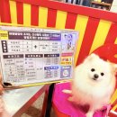 하양끝집 | 하양끝집 고성점, 대구북구 애견동반식당 조개구이 맛집