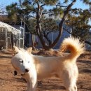 자담솔농원 이미지