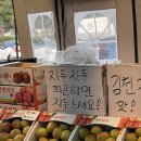 자두자두 이미지