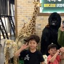 신기세천 이미지