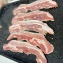 스테이고현 이미지