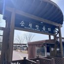 순천만습지 | 순천 갈대가 예쁜 순천만습지 솔직 후기 [주차, 위치, 가격]
