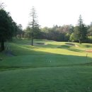 R&T GOLF Daum카페