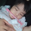 양평 랏지하우스 애견동반펜션 이미지