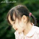 신수연