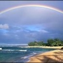 무지개가 피어나는 이미지