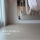 모현동물병원 | 25년 5월 4주차 주간일기
