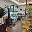 비음로-1 이미지