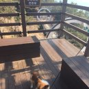 금오도 초원의 집 이미지