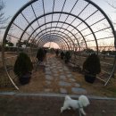 세천늪근린공원 이미지