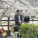 시화전