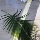 LG전자 본사 티스토리