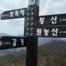산양 궁항마을 네이버블로그