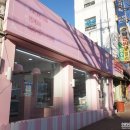 셀럽퍼피 이미지