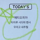 무라고 | 커피사일로-에티오피아 타미루 시다마 벤사 무라고 내추럴 시음 후기