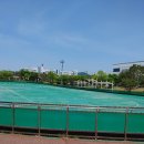 동락공원 인라인스케이트장