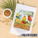 잉꼬과일 - 7658 | 잉꼬과일