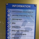미즈피아 | 붉은말띠맘 임신 26주 기록 - 임당결과, 전원 광주 미즈피아 초진 후기