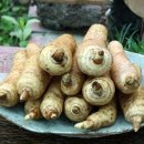 혜원농장 이미지