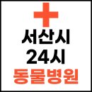 서신동물병원 | 서신시 24시 동물병원 조회 고양이 일요일 야간 진료