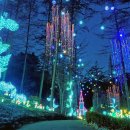 권창주 이미지