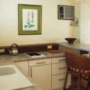 파라다이스가든 이미지