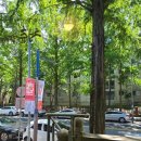 청춘밥상 | 창원 - 가로수길 청춘 밥상 후기(25.07)