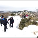 제주신도시 이미지