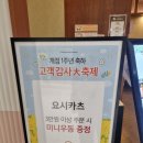 남도분식&요시카츠 | [1동탄 타임테라스 맛집] 요시카츠: 갓 튀긴 바삭바삭한 돈까스가 먹고 싶을 때