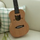 띵가띵가 우쿨렐레 이미지