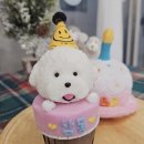 도그야미 이미지