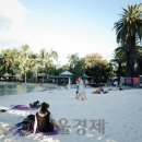 햇살 이미지