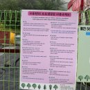 [단양] 을전56오토캠핑장 (밤하늘 별 가득 풍경 가득 오토캠핑장)