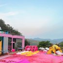 정구농장 이미지