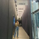 에이치에이치라운지 둔산 주차가능카페 느좋카페 겸 펍 후기