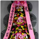 엔젤마트 이미지