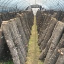 아곡농장 이미지