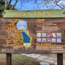 양을산산림욕장 이미지