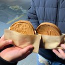 방막골민박 | 해산물과 회가 듬뿍 들어있는 물회 맛집 선녀풍, 가성비 좋은 을왕리 민박집 아늑한 민박 방문 후기