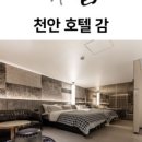 호텔 감 이미지