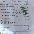 (주)펫신드룸 | 때, 목을 삐딱하게 해요, 고개를 기울이고 있어요 : 반려견 담 결린 증상, 치료비, 약 복용 후기까지